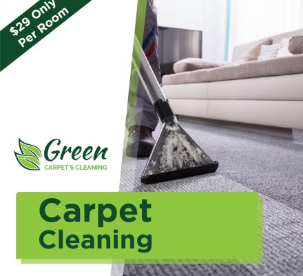 carpet cleaner