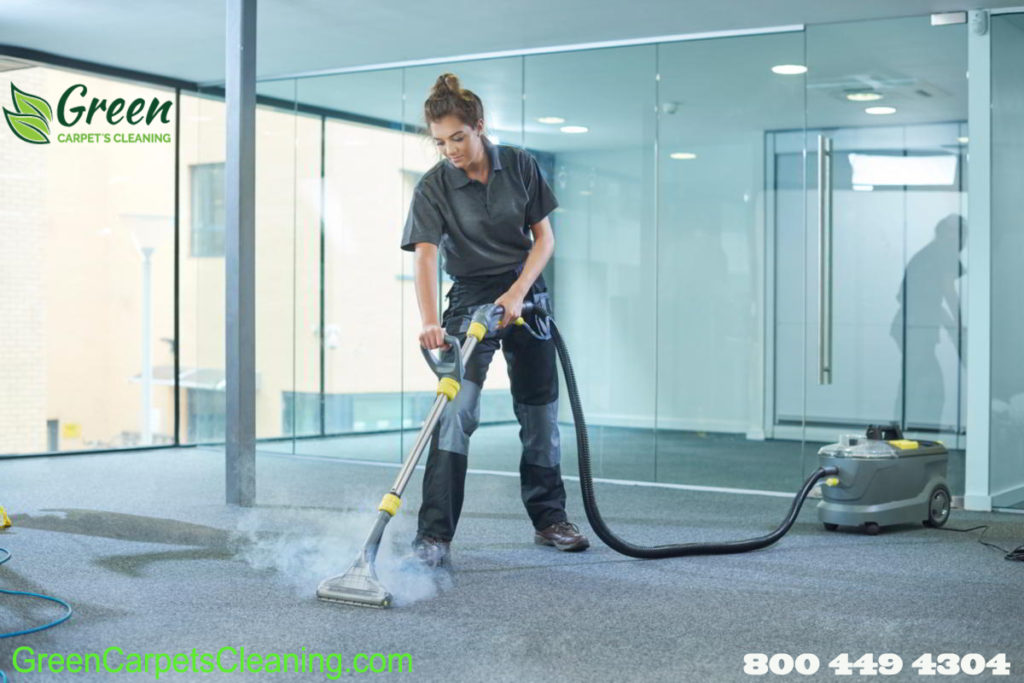 Same Day Carpet Cleaning Pacific Palisades​