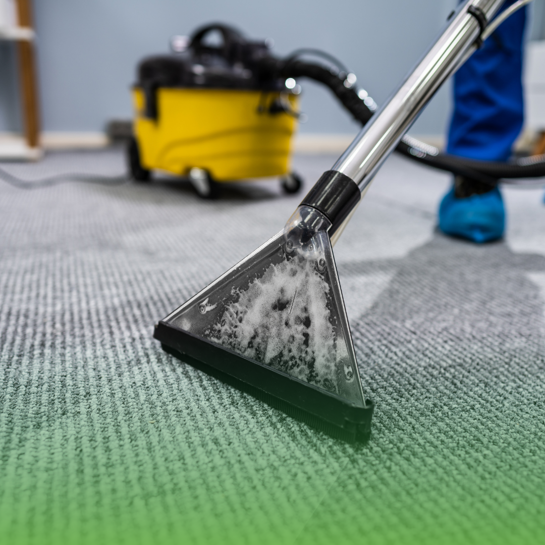 carpet cleaning