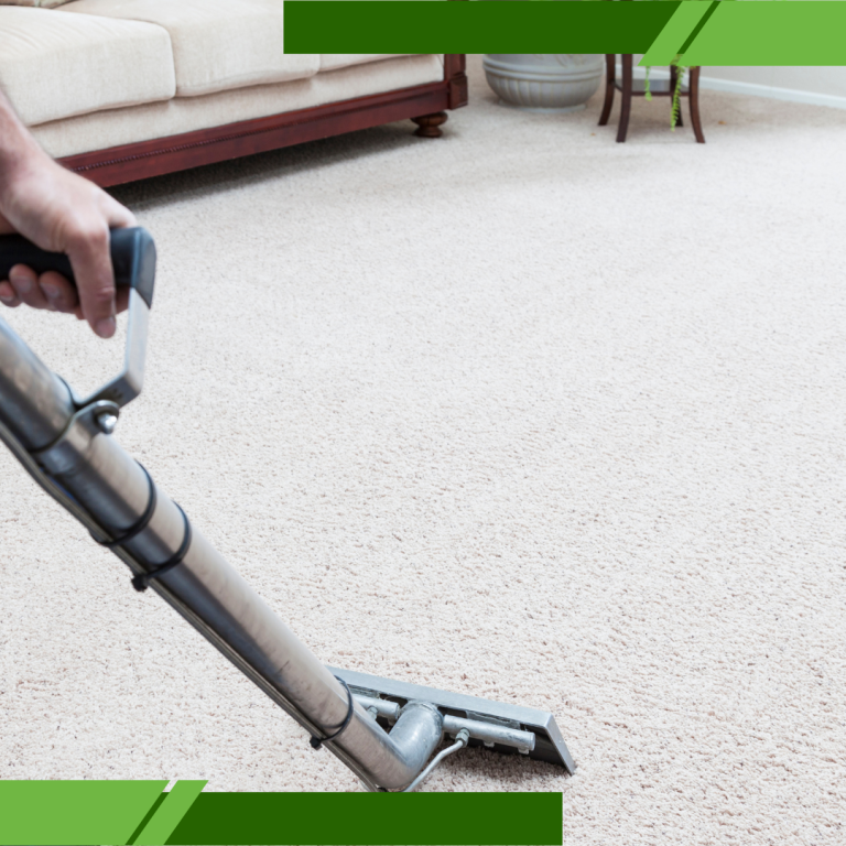 carpet sanitizing