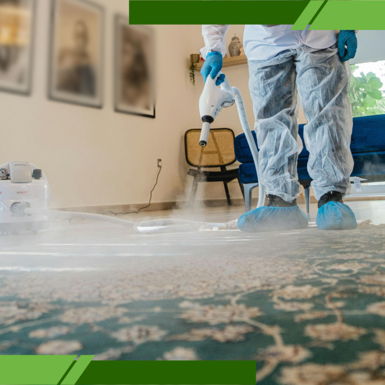 Carpet Cleaning near Malibu