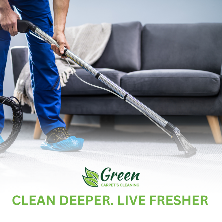 Affordable Carpet Cleaning in Malibu