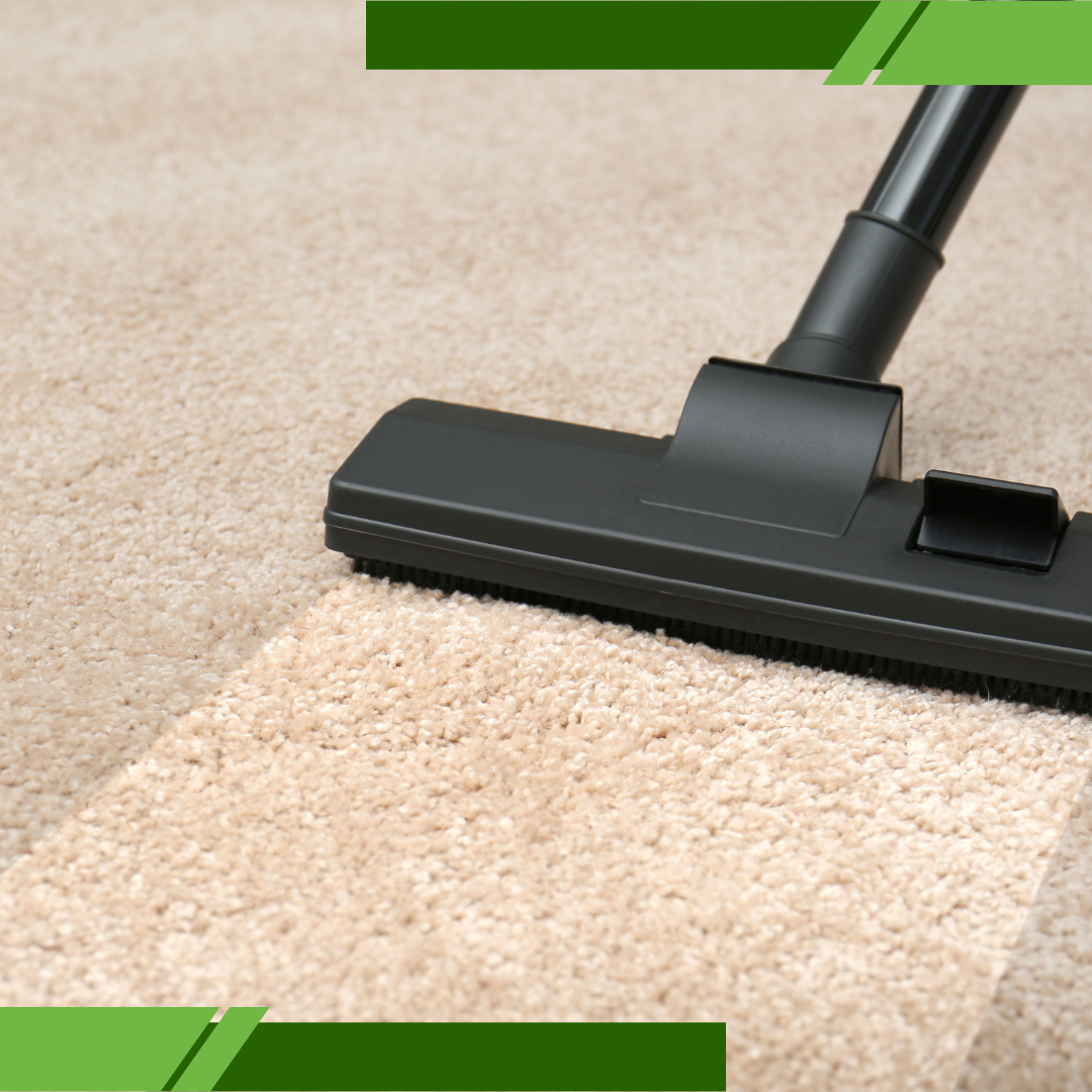 effects of pet hair and dust on family health