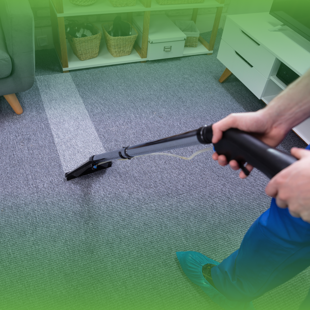 Expert Carpet Cleaning