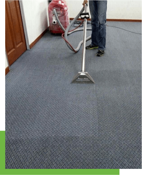 carpet cleaning near me