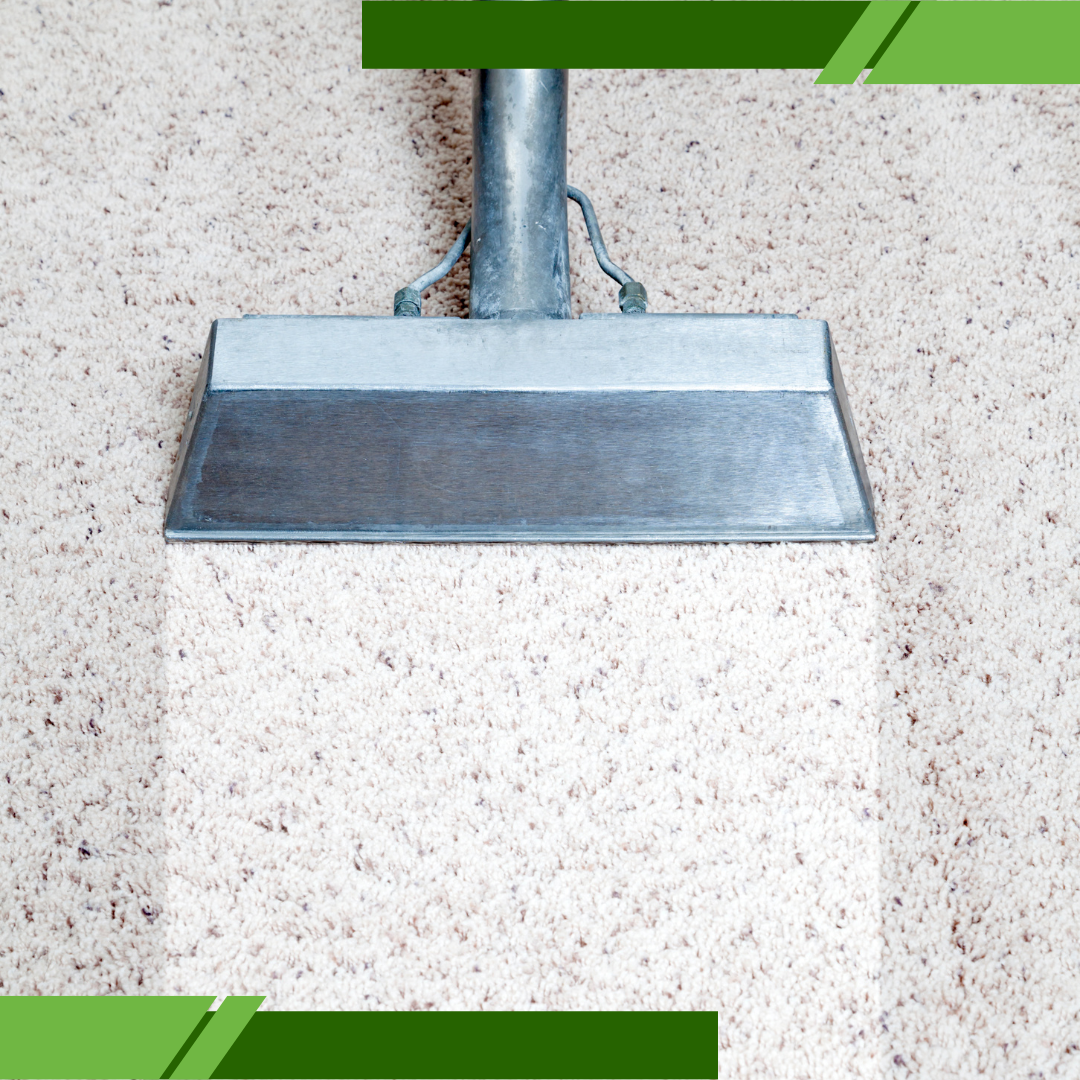 regular rug cleaning