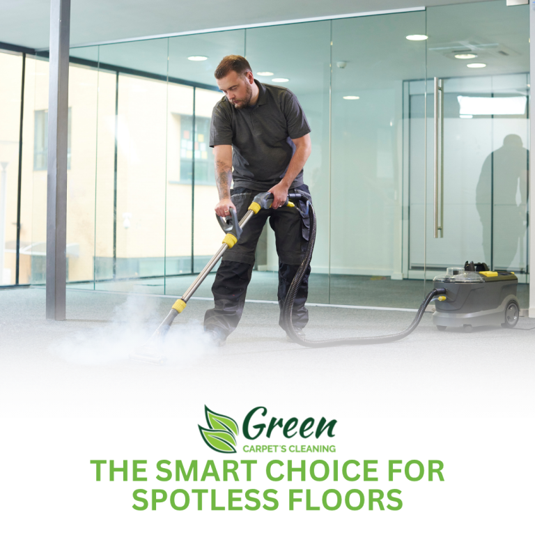 Top-Rated Carpet Cleaning in Malibu, CA